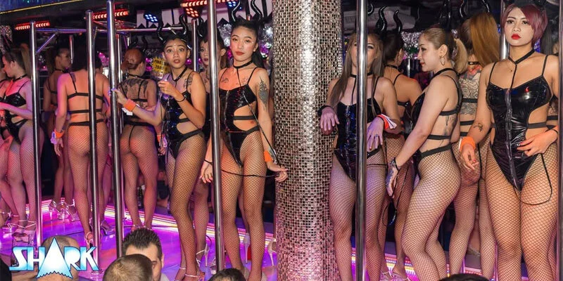 shark-gogo-bangkok